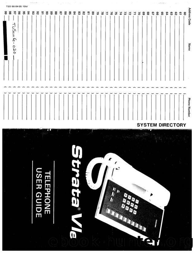 Strata VIe User's Guide by EZ Manuals
