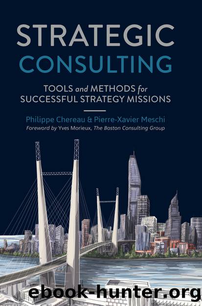 Strategic Consulting by Philippe Chereau & Pierre-Xavier Meschi