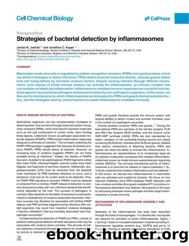 Strategies of bacterial detection by inflammasomes by Jordan B. Jastrab & Jonathan C. Kagan