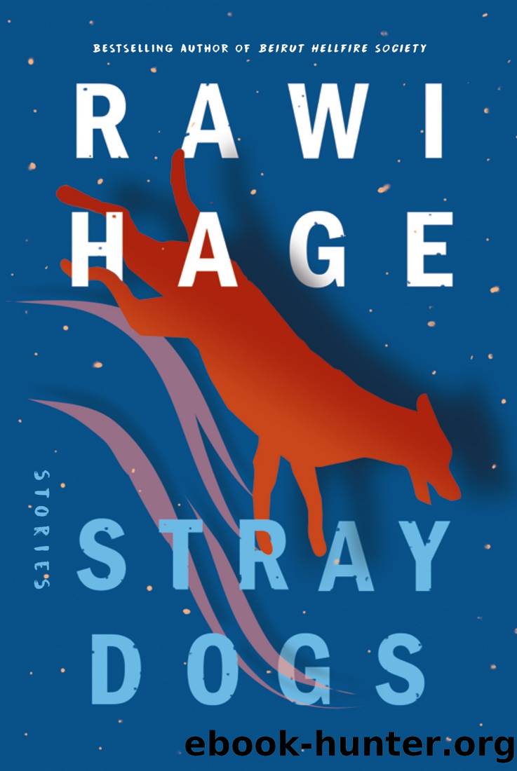 Stray Dogs: And Other Stories by Rawi Hage