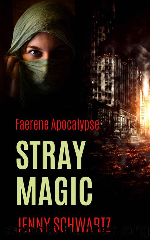 Stray Magic by Jenny Schwartz