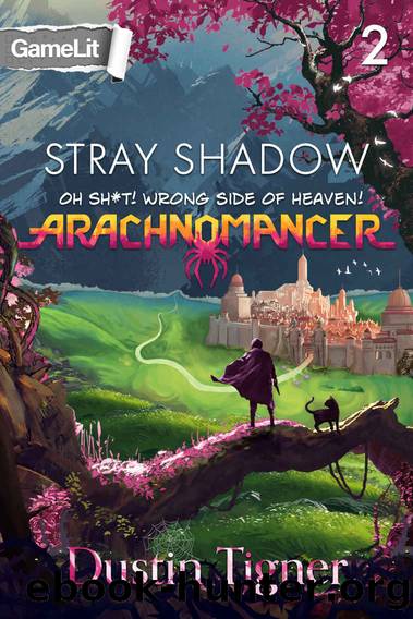 Stray Shadow: Oh Sh*t! Wrong Side of Heaven! (Arachnomancer, Book Two) by Tigner Dustin