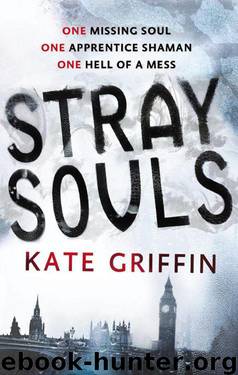 Stray Souls (Magicals Anonymous) by Kate Griffin