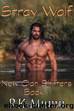 Stray Wolf: New Clan Shifters, Book 1 by RK Munin