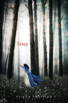 Stray by Elissa Sussman