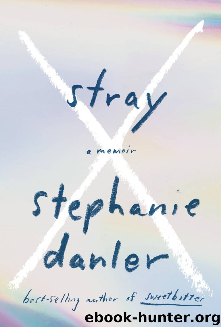 Stray by Stephanie Danler