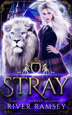 Stray: A Shifter Academy Romance (Cats of Felidae Academy Book 1) by River Ramsey