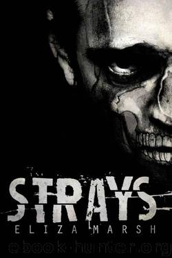 Strays (Red Kings MC Book 1) by Eliza Marsh
