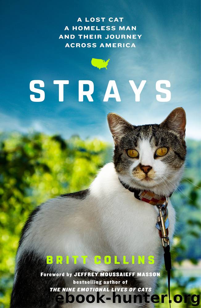 Strays by Britt Collins