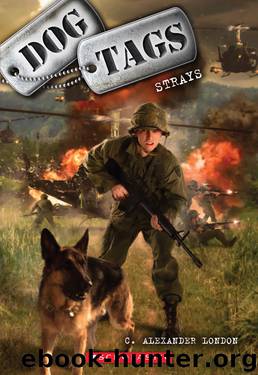 Strays by C. Alexander London
