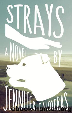 Strays by Jennifer Caloyeras