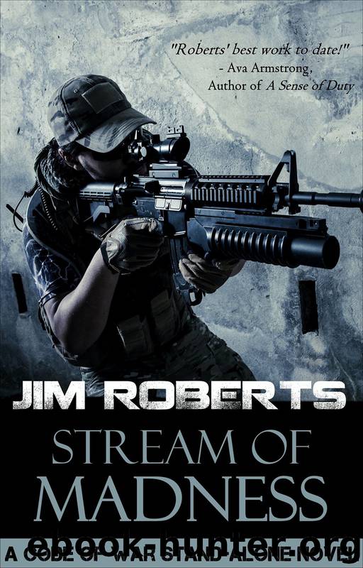 Stream of Madness by Jim Roberts