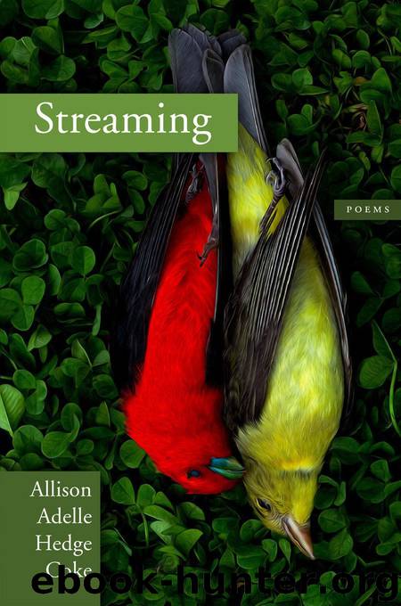 Streaming by Allison Adelle Hedge Coke