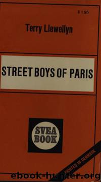 Street Boys of Paris by Terry Llewellyn