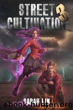 Street Cultivation 3 by Sarah Lin