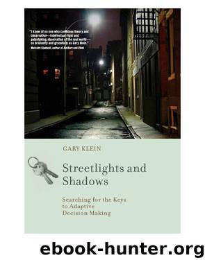 Streetlights and Shadows by Gary Klein
