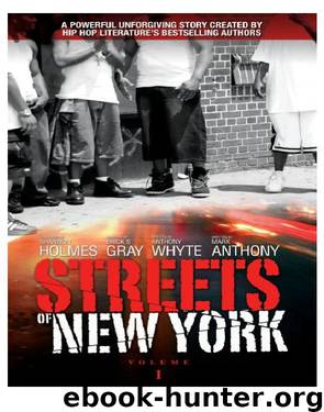 Streets of New York Volume 1 by Mark Anthony & Erick S Gray & Anthony Whyte & Shannon Holmes