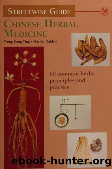 Streetwise guide: Chinese herbal medicine by Kang-Ying Wong