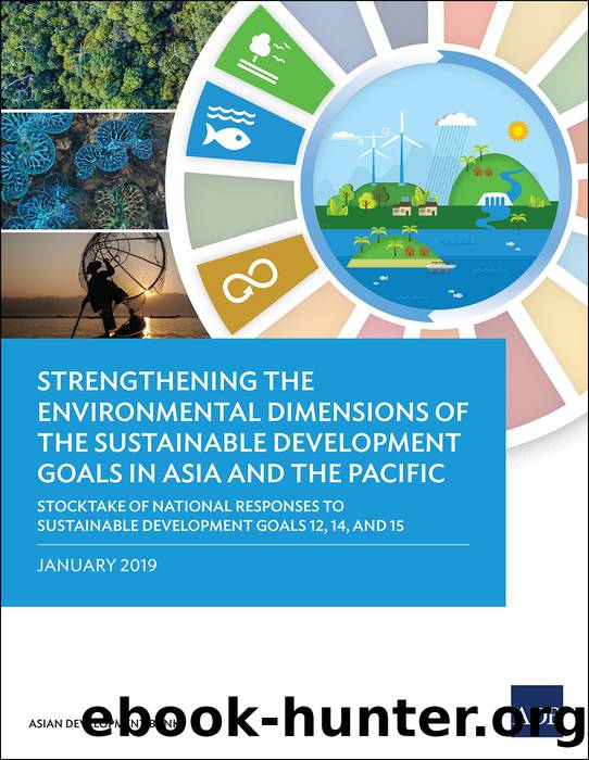 Strengthening the Environmental Dimensions of the Sustainable Development Goals in Asia and the Pacific by Asian Development Bank;