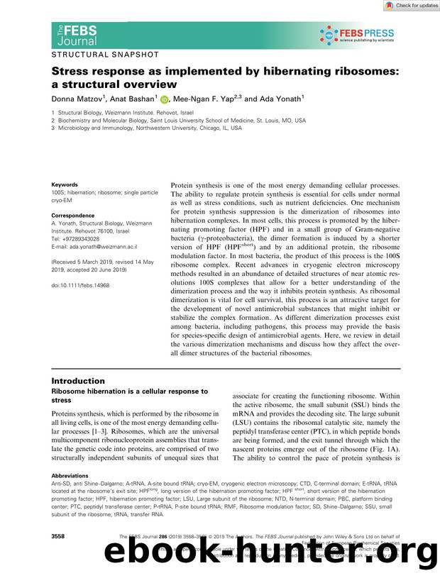 Stress response as implemented by hibernating ribosomes: a structural overview by Unknown