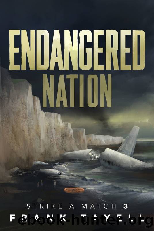Strike a Match 03 Endangered Nation by Frank Tayell