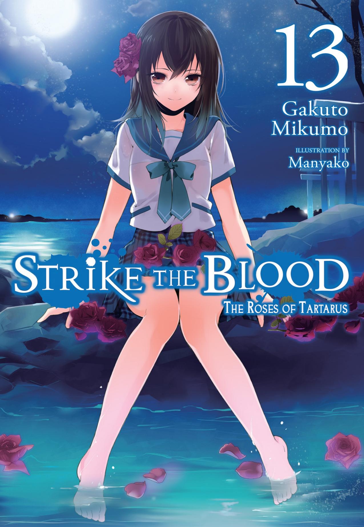 Strike the Blood, Vol. 13 (light novel) by Gakuto Mikumo