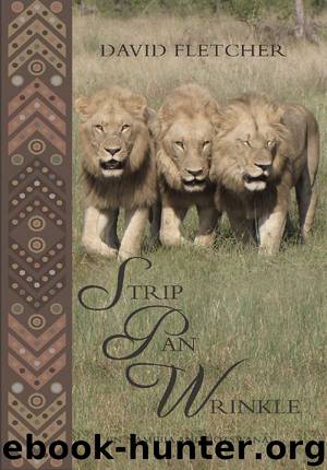 Strip Pan Wrinkle by David Fletcher