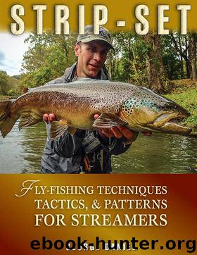 Strip-Set: Fly-Fishing Techniques, Tactics, Patterns for Streamers by George Daniel