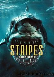 Stripes by Brian Gatto