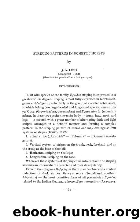 Striping patterns in domestic horses by Unknown