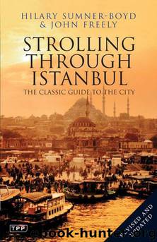 Strolling Through Istanbul: The Classic Guide to the City by Hilary Sumner-Boyd & John Freely