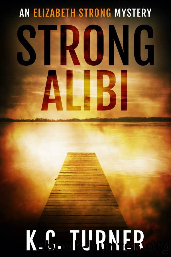 Strong Alibi by K.C. Turner