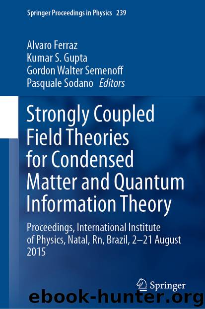 Strongly Coupled Field Theories for Condensed Matter and Quantum Information Theory by Alvaro Ferraz & Kumar S. Gupta & Gordon Walter Semenoff & Pasquale Sodano