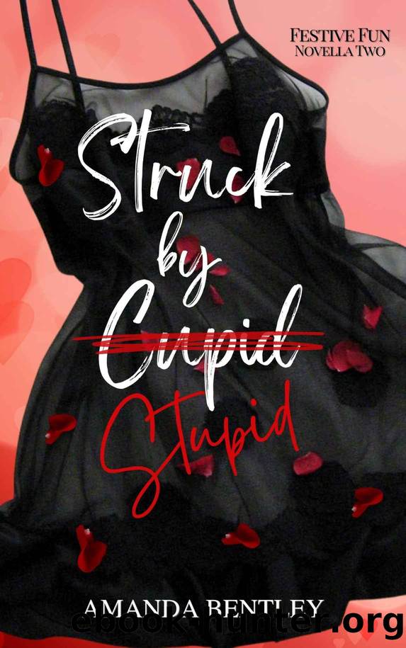 Struck by Stupid (Festive Fun Book 2) by Amanda Bentley