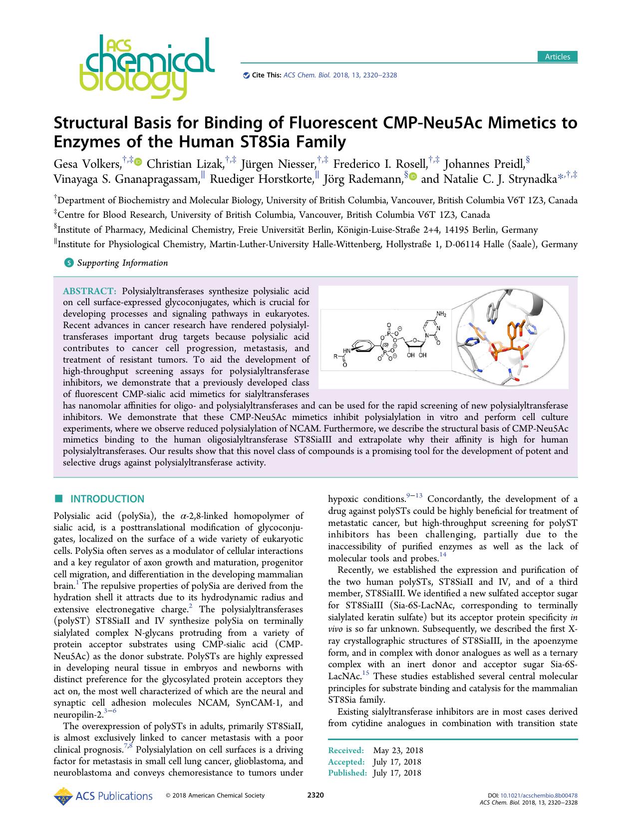 Structural Basis for Binding of Fluorescent CMP-Neu5Ac Mimetics to Enzymes of the Human ST8Sia Family by unknow