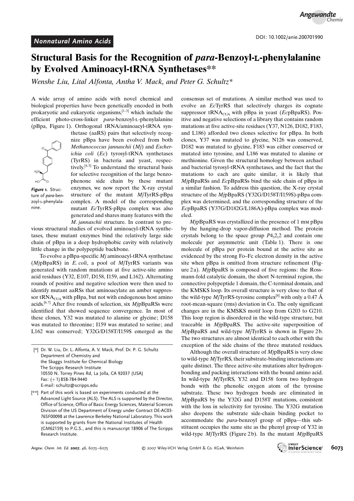 Structural Basis for the Recognition of para-Benzoyl-L-phenylalanine by Evolved Aminoacyl-tRNA Synthetases by Unknown