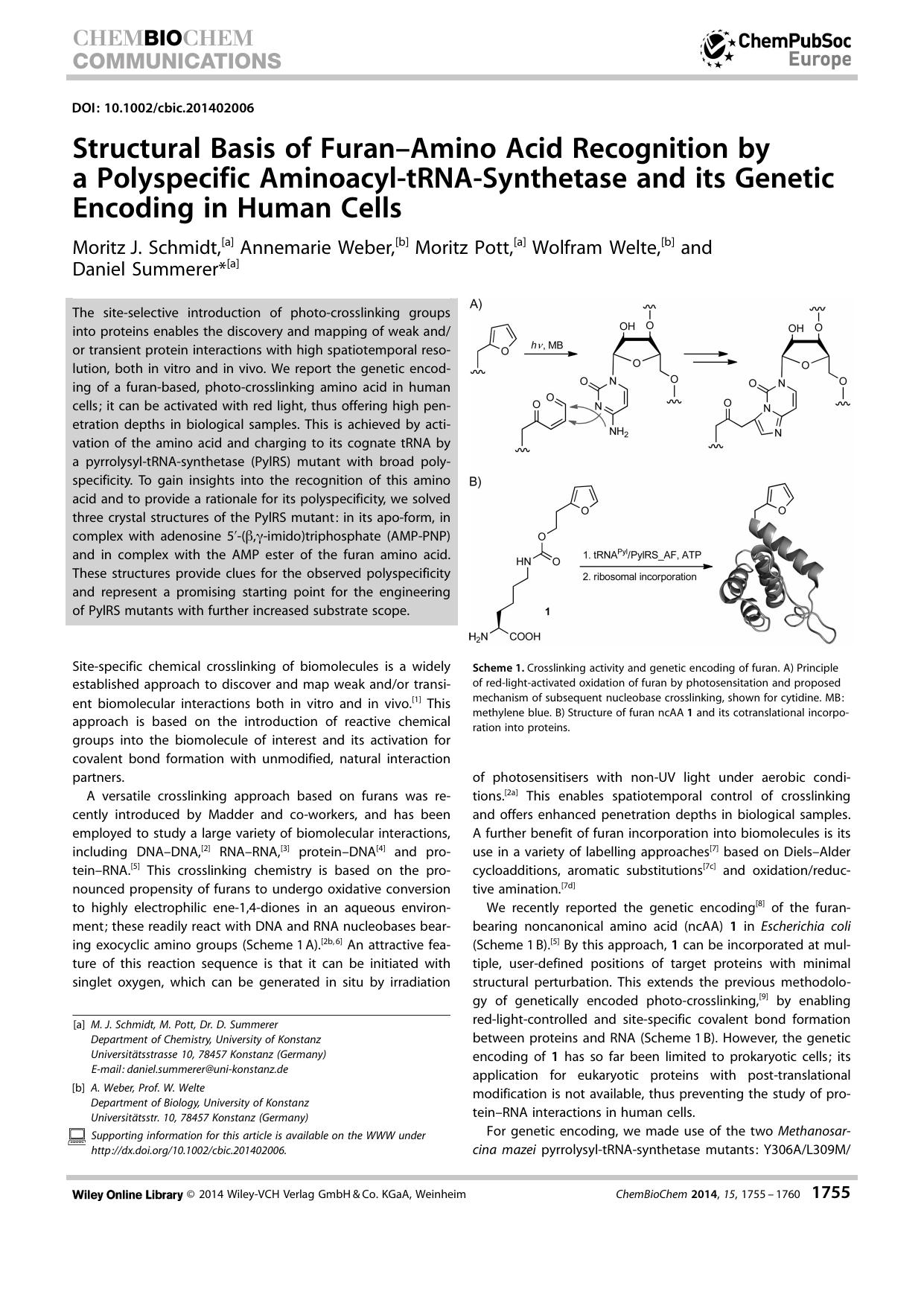 Structural Basis of FuranAmino Acid Recognition by a Polyspecific AminoacyltRNASynthetase and its Genetic Encoding in Human Cells by Unknown