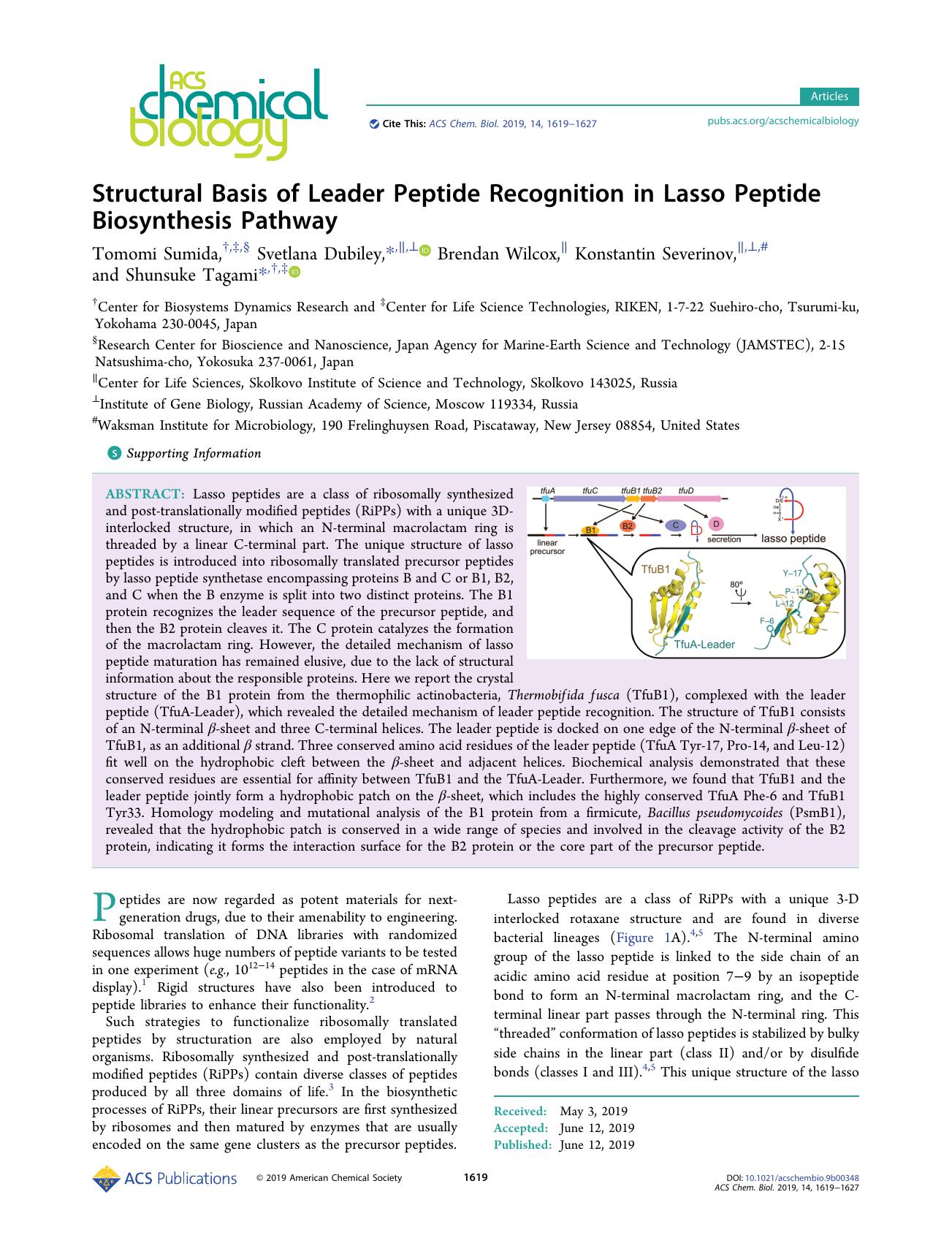 Structural Basis of Leader Peptide Recognition in Lasso Peptide Biosynthesis Pathway by Tomomi Sumida Svetlana Dubiley Brendan Wilcox Konstantin Severinov and Shunsuke Tagami