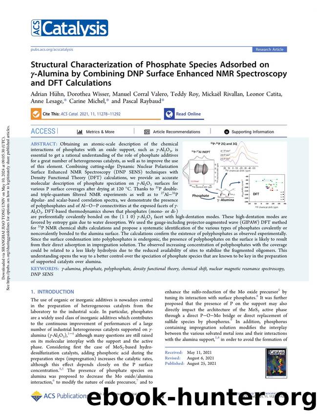 Structural Characterization of Phosphate Species Adsorbed on Î³-Alumina by Combining DNP Surface Enhanced NMR Spectroscopy and DFT Calculations by unknow