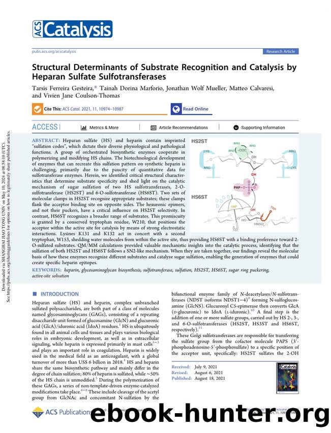 Structural Determinants of Substrate Recognition and Catalysis by Heparan Sulfate Sulfotransferases by unknow