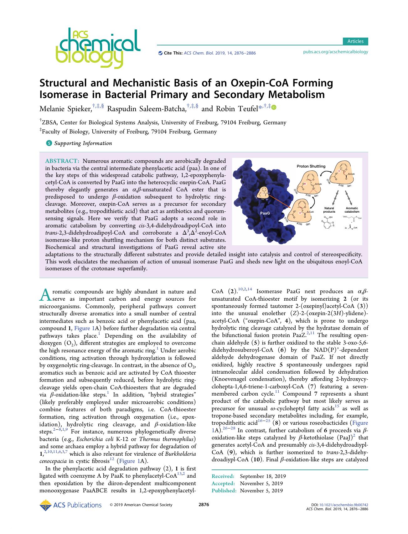 Structural and Mechanistic Basis of an Oxepin-CoA Forming Isomerase in Bacterial Primary and Secondary Metabolism by Melanie Spieker Raspudin Saleem-Batcha and Robin Teufel