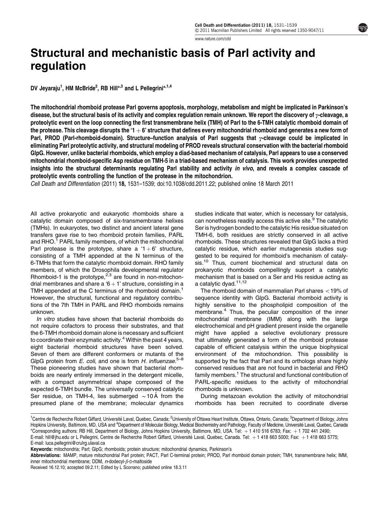 Structural and mechanistic basis of Parl activity and regulation by D V Jeyaraju & H M McBride & R B Hill & L Pellegrini