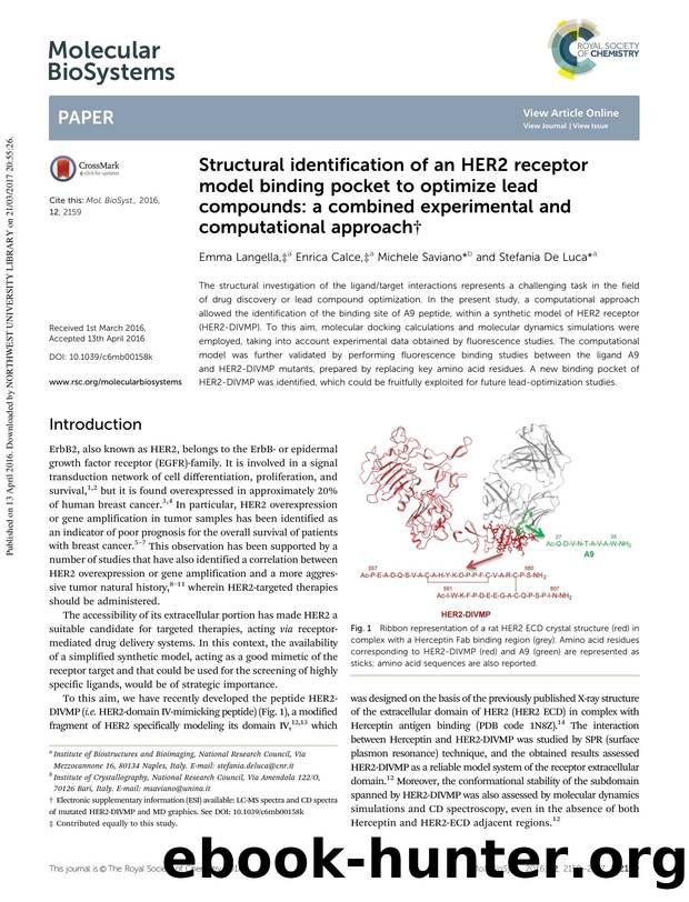 Structural identification of an HER2 receptor model binding pocket to optimize lead compounds: a combined experimental and computational approach by Emma Langella & Enrica Calce & Michele Saviano & Stefania De Luca