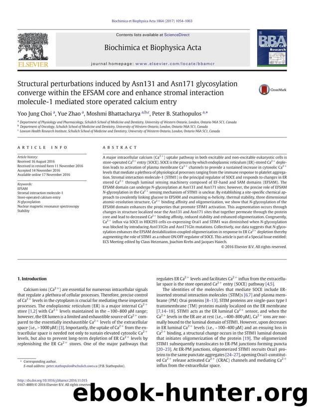 Structural perturbations induced by Asn131 and Asn171 glycosylation converge within the EFSAM core and enhance stromal interaction molecule-1 mediated store operated calcium entry by Yoo Jung Choi & Yue Zhao & Moshmi Bhattacharya & Peter B. Stathopulos