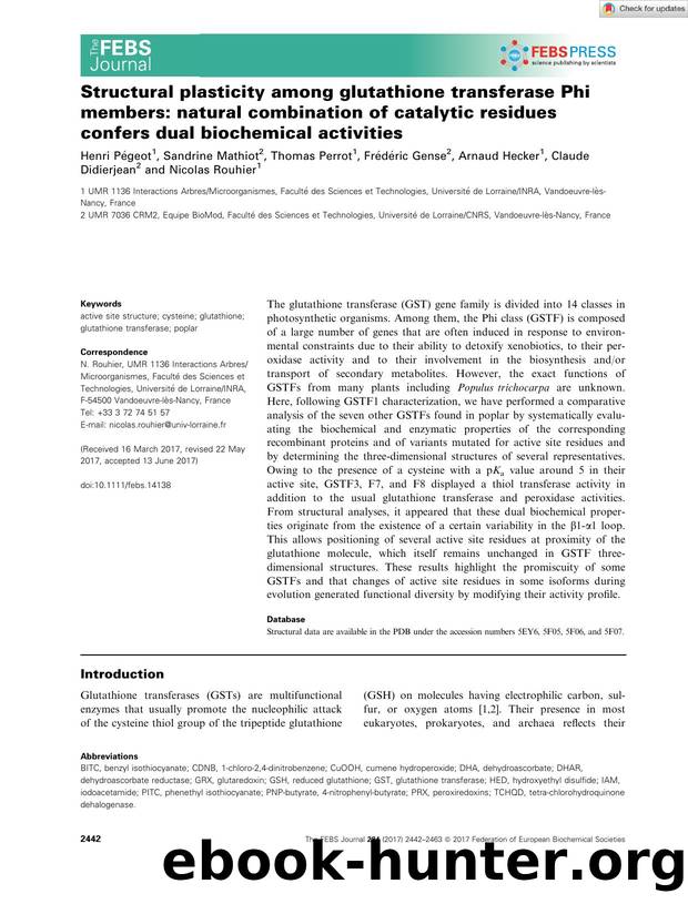 Structural plasticity among glutathione transferase Phi members: natural combination of catalytic residues confers dual biochemical activities by Unknown