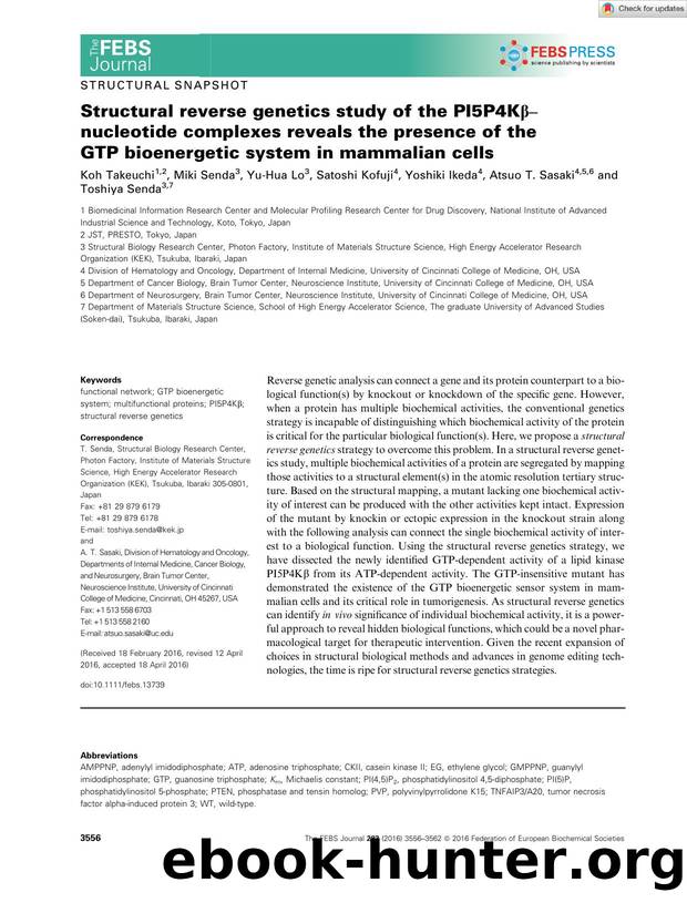 Structural reverse genetics study of the PI5P4KÎ²ânucleotide complexes reveals the presence of the GTP bioenergetic system in mammalian cells by Unknown