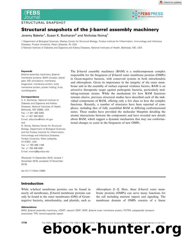 Structural snapshots of the Î²âbarrel assembly machinery by Unknown