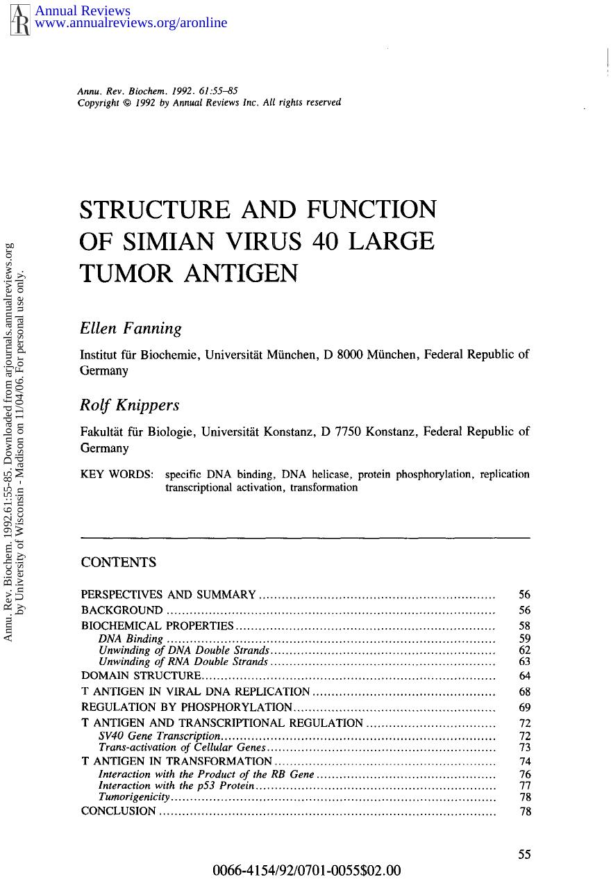 Structure and Function of Simian Virus 40 Large Tumor Antigen by E Fanning & R Knippers