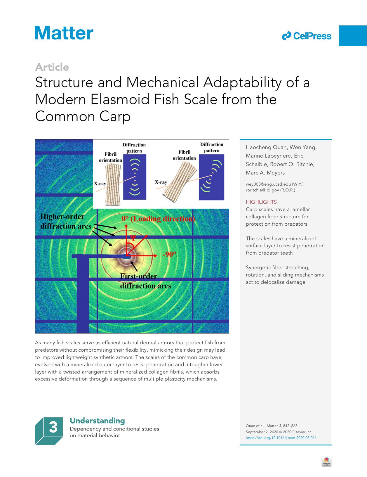 Structure and Mechanical Adaptability of a Modern Elasmoid Fish Scale from the Common Carp by Haocheng Quan & Wen Yang & Marine Lapeyriere & Eric Schaible & Robert O. Ritchie & Marc A. Meyers