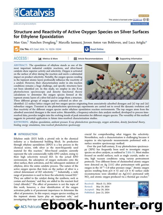 Structure and Reactivity of Active Oxygen Species on Silver Surfaces for Ethylene Epoxidation by Man Guo Nanchen Dongfang Marcella Iannuzzi Jeroen Anton van Bokhoven and Luca Artiglia